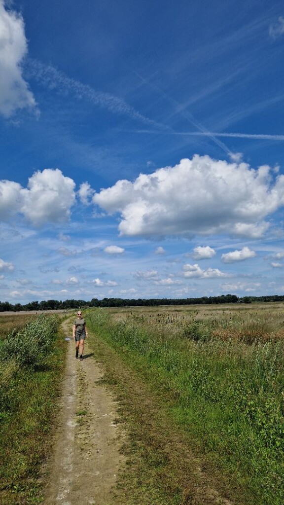 Kloosterhaar - Groen