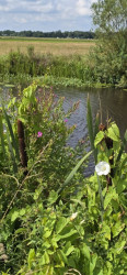 Kale Jonkerspad