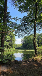 Wandelroute Springendal Bronnenroute