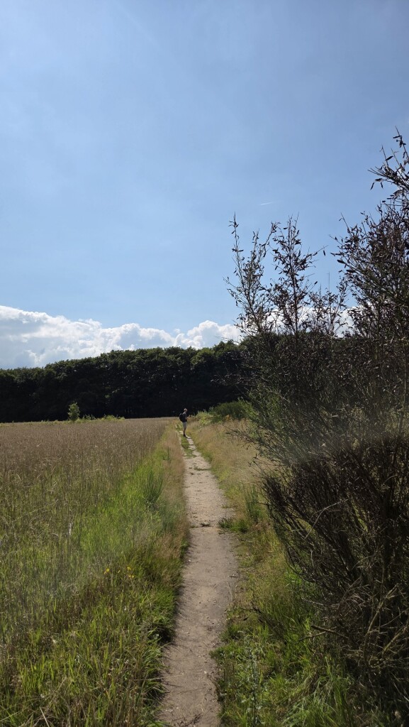 Wandelroute Springendal Bronnenroute