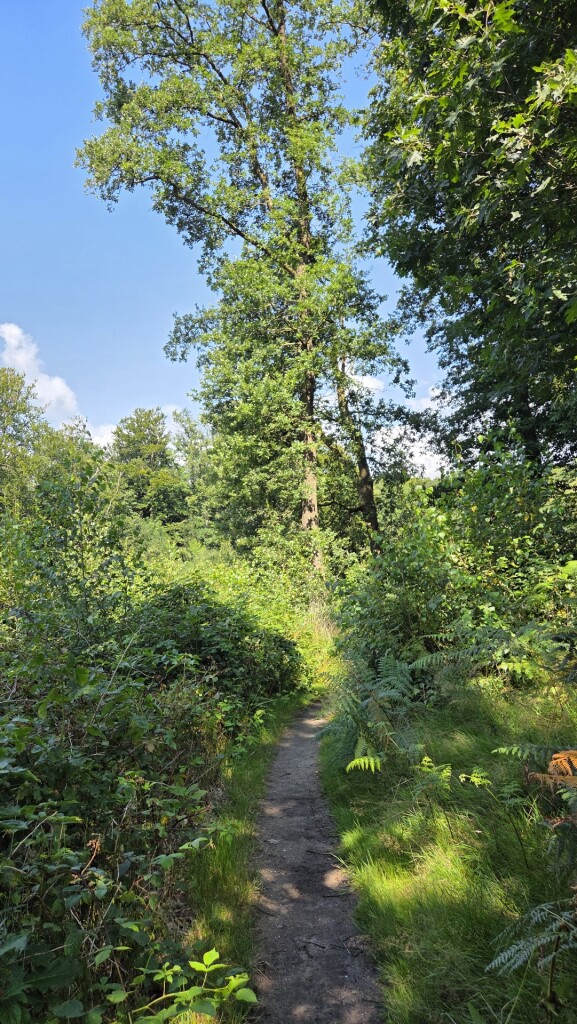 Wandelroute Springendal Bronnenroute