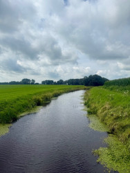Rammelbeek - Blauw