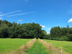 Mullerthal B11