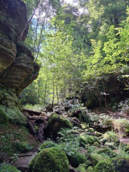 Mullerthal B11