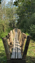 Bruine route wellseind