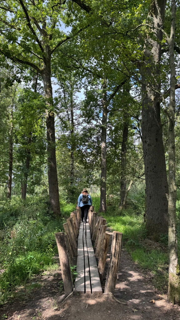 Bruine route wellseind