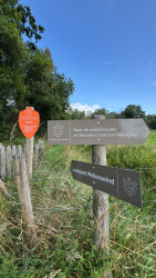 Bruine route wellseind