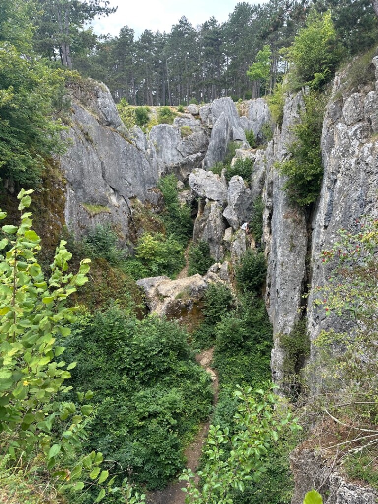 Fondry des Chiens vanuit Nismes