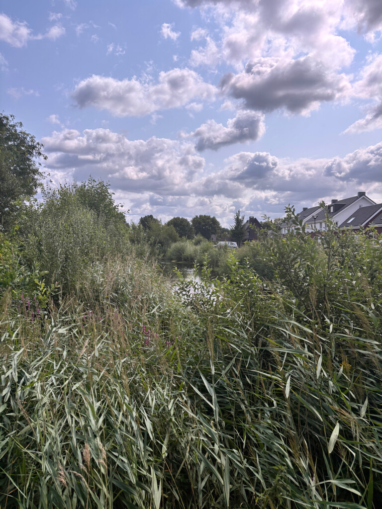 Moesland mini rondje