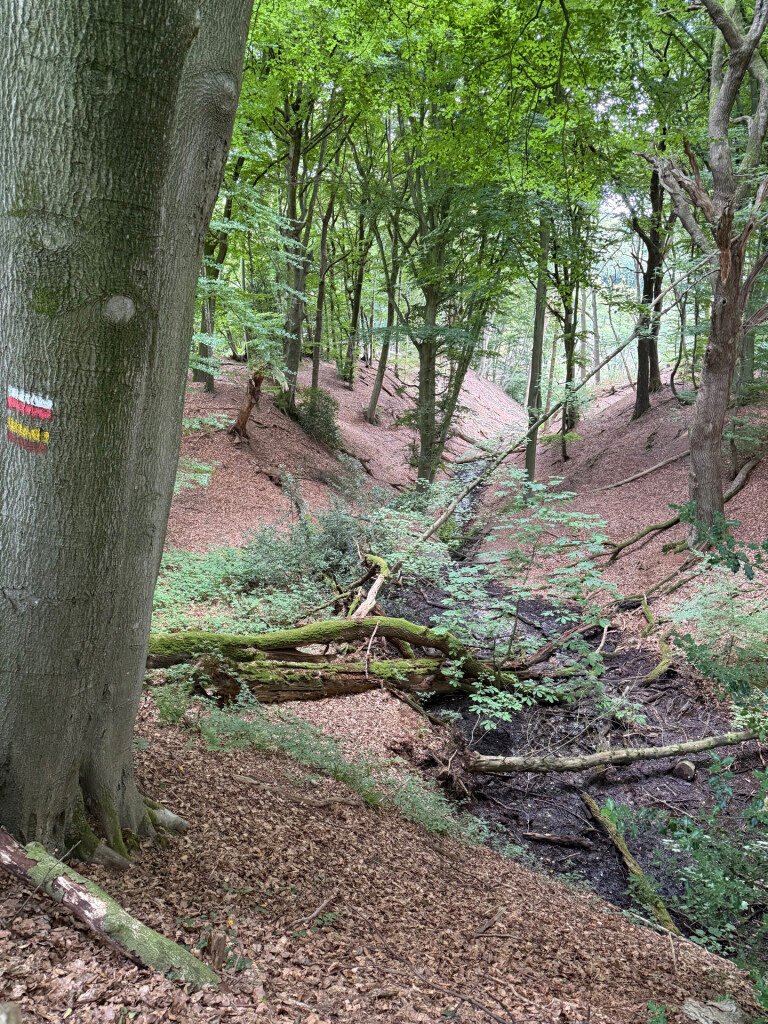 Kranenburg (D) - Plasmolen · Walk of Wisdom etappe 3