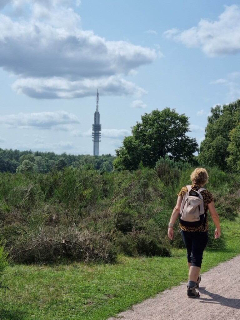 Bussum - Baarn · Trekvogelpad etappe 9