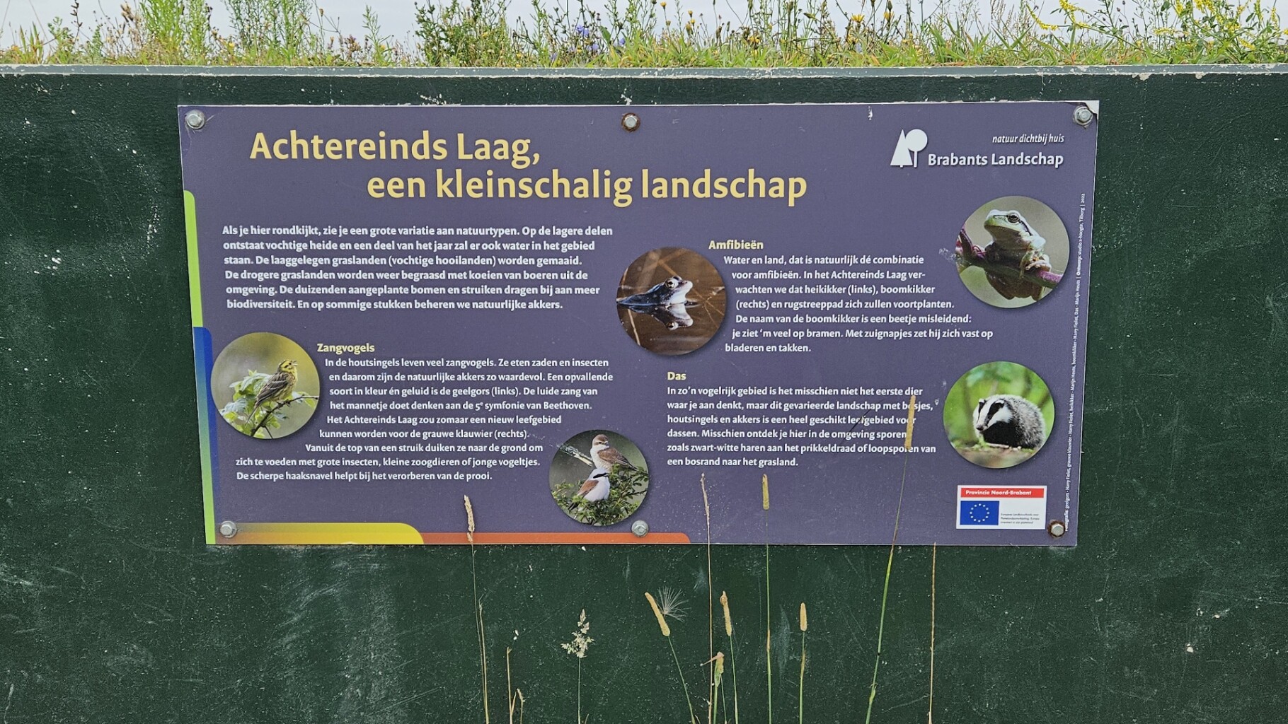 Rondje Veghels Buiten