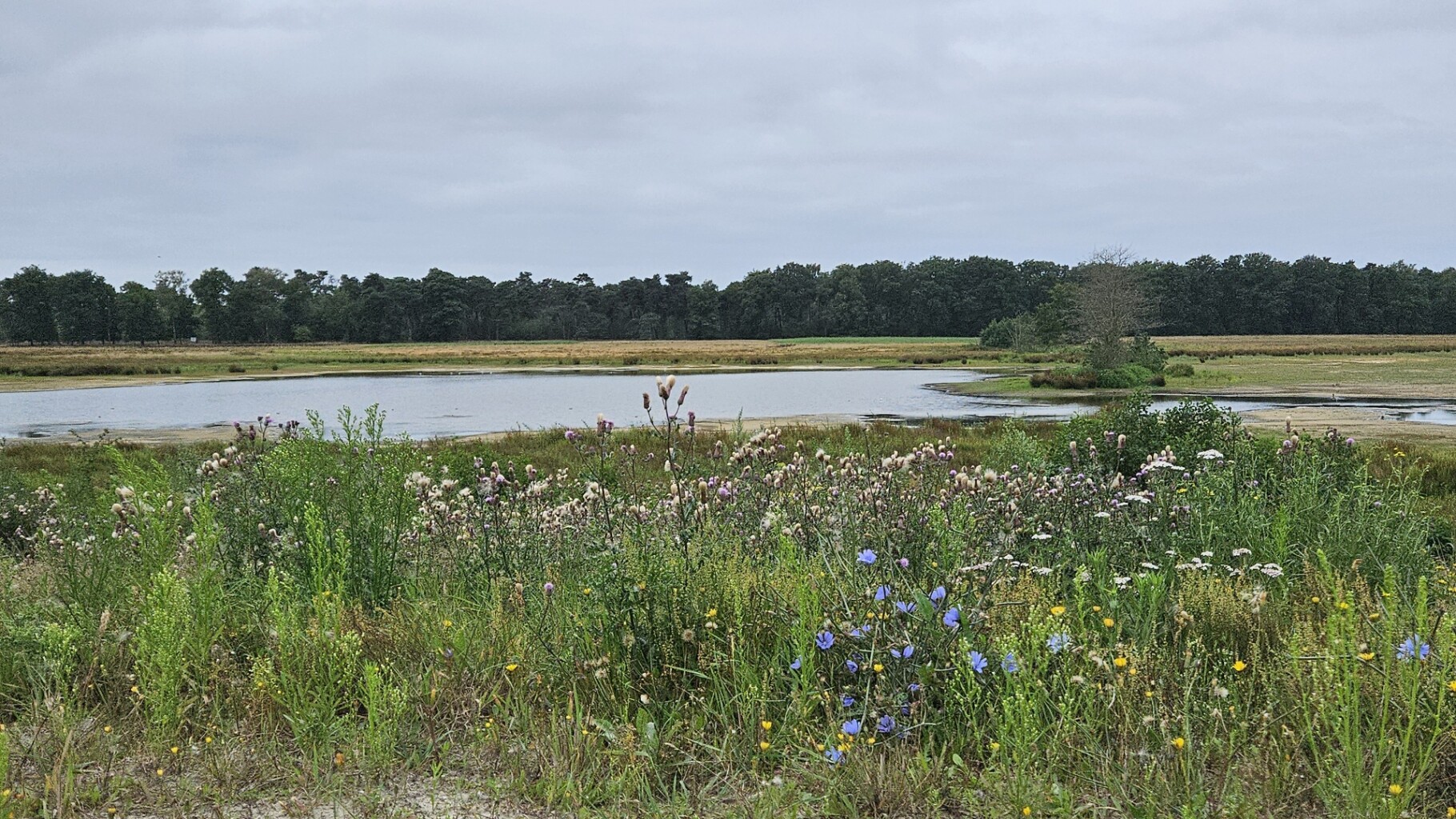 Rondje Veghels Buiten