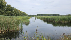 Rondje Veghels Buiten