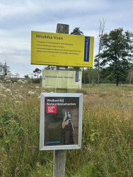 Rondom het Wooldse Veen