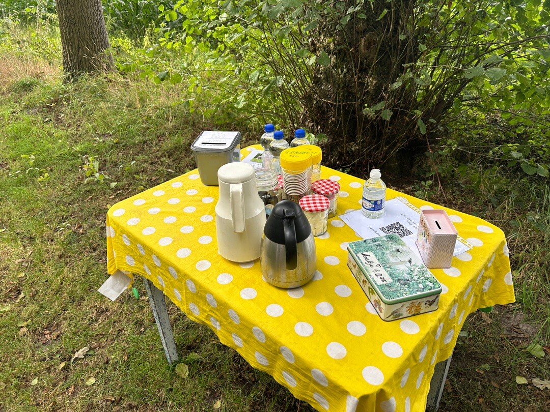 Rondom het Wooldse Veen