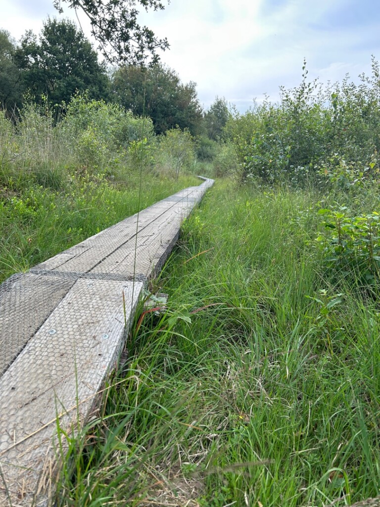 Rondom het Wooldse Veen