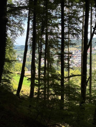 Mullerthal L5