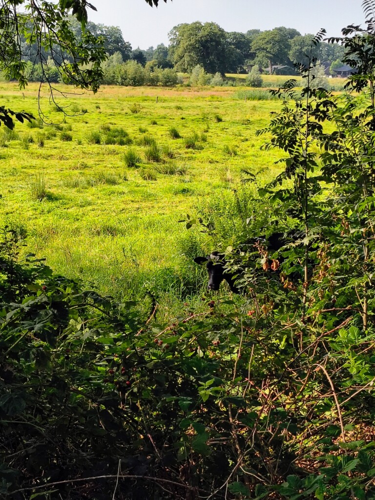 Wandelroute bij Kasteel Eerde, vlakbij Ommen