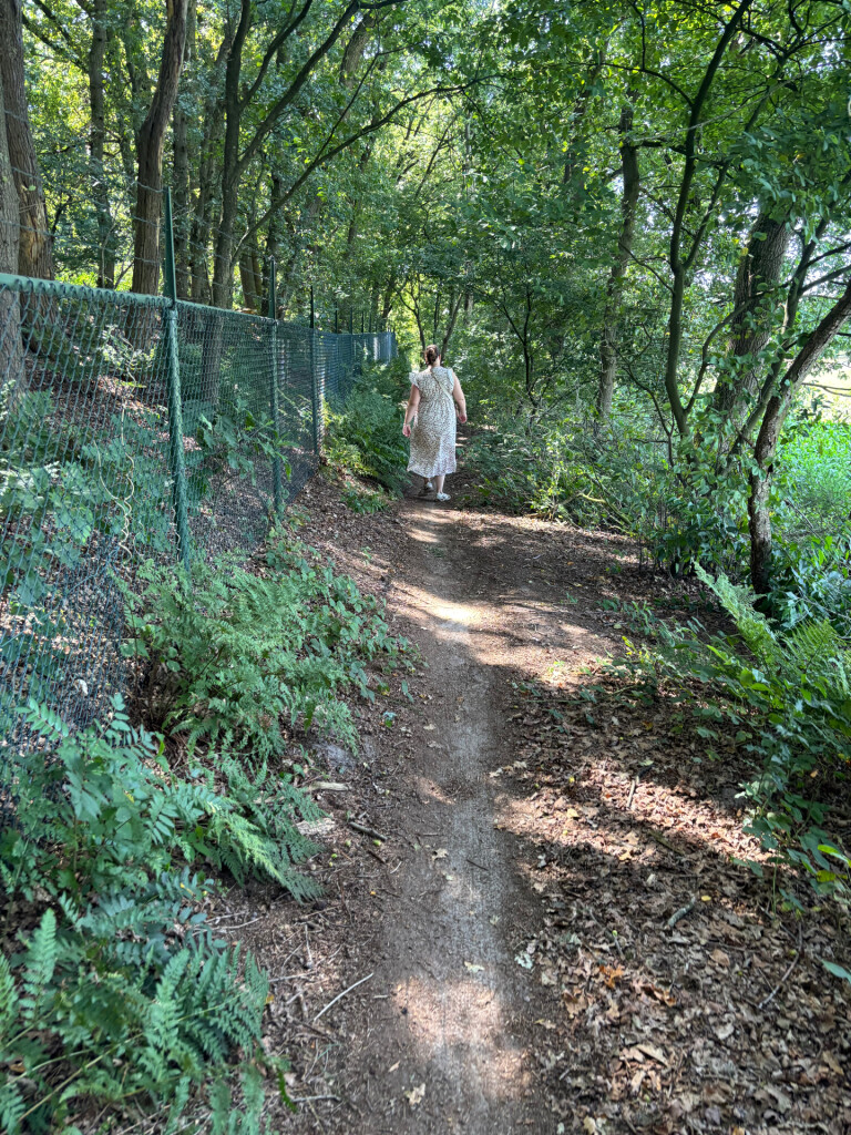 Rondje paarse heide ganzenven