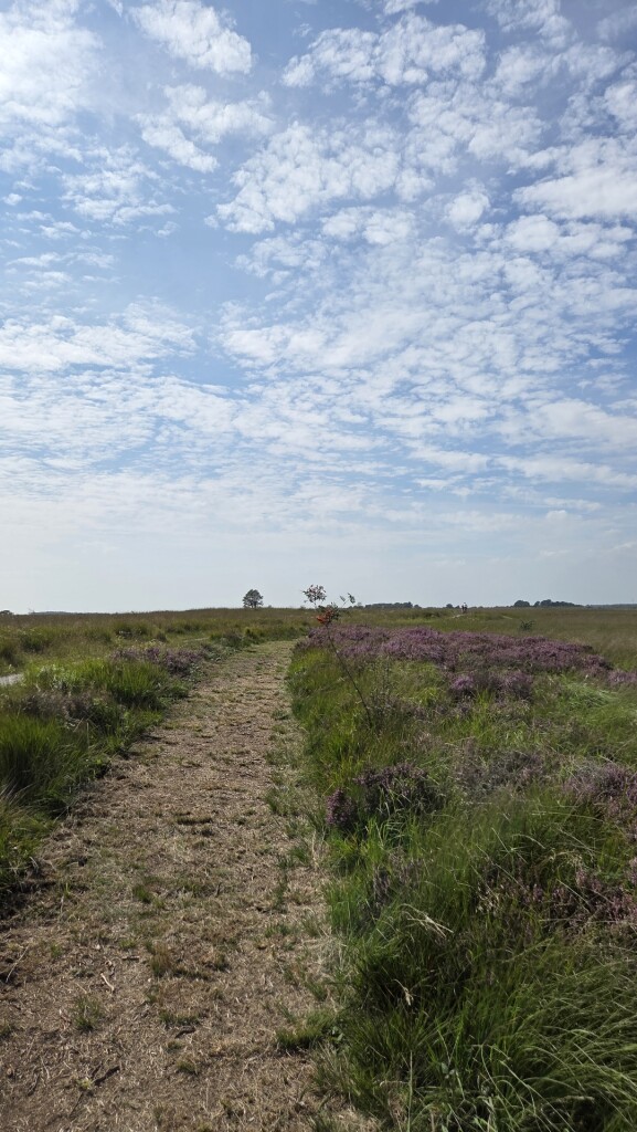 Wandelroute Bonghaar