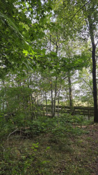 Wandelroute Bonghaar