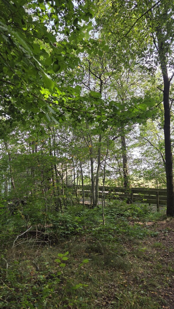 Wandelroute Bonghaar