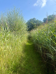 Lemselo - Groen