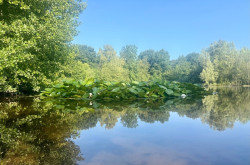 Kuiperberg - Oranje