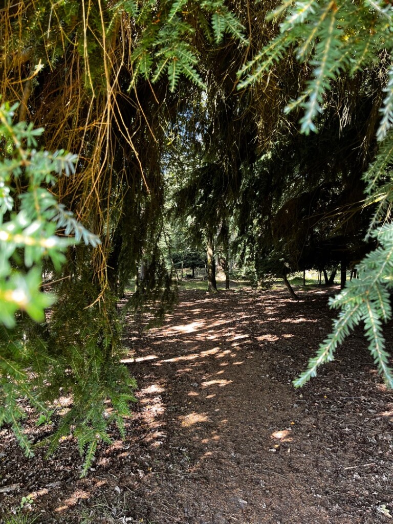 Wandelroute Evertsbos