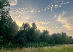 Wandelroute Libellen