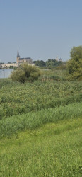 Kampen - Geel
