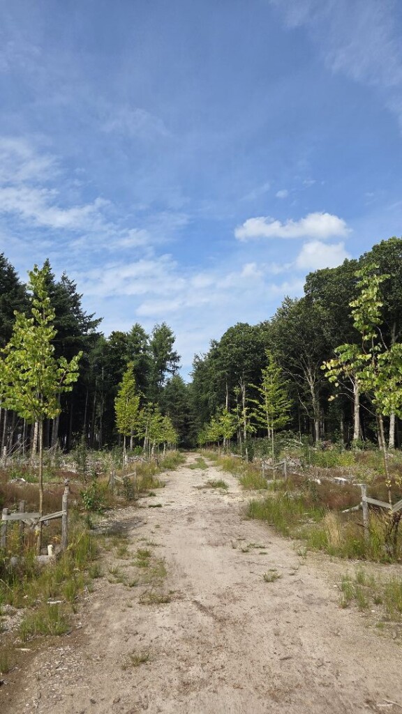 Uitkijktoren de Zeven