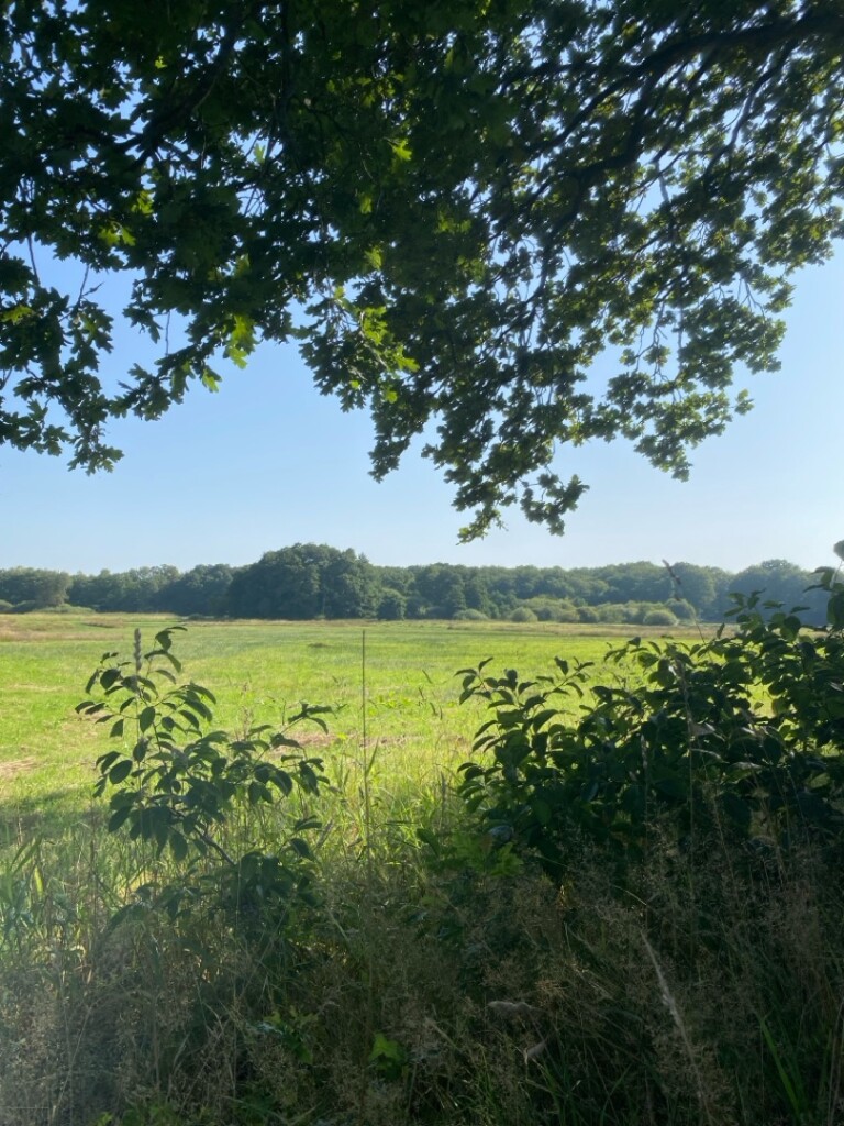 Tynaarlo - Annen · Groot Frieslandpad etappe 17