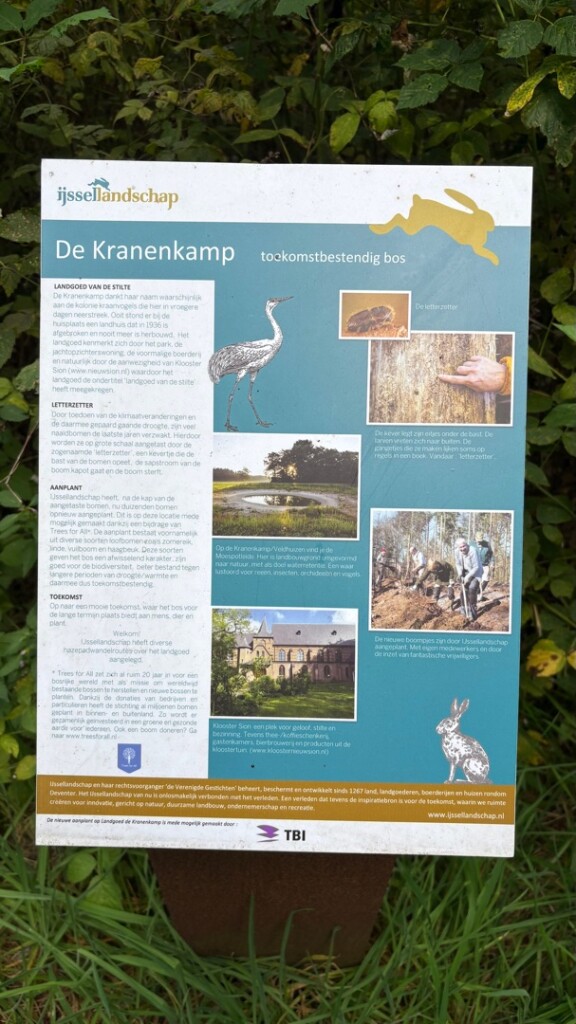 Kranenkamp - Geel