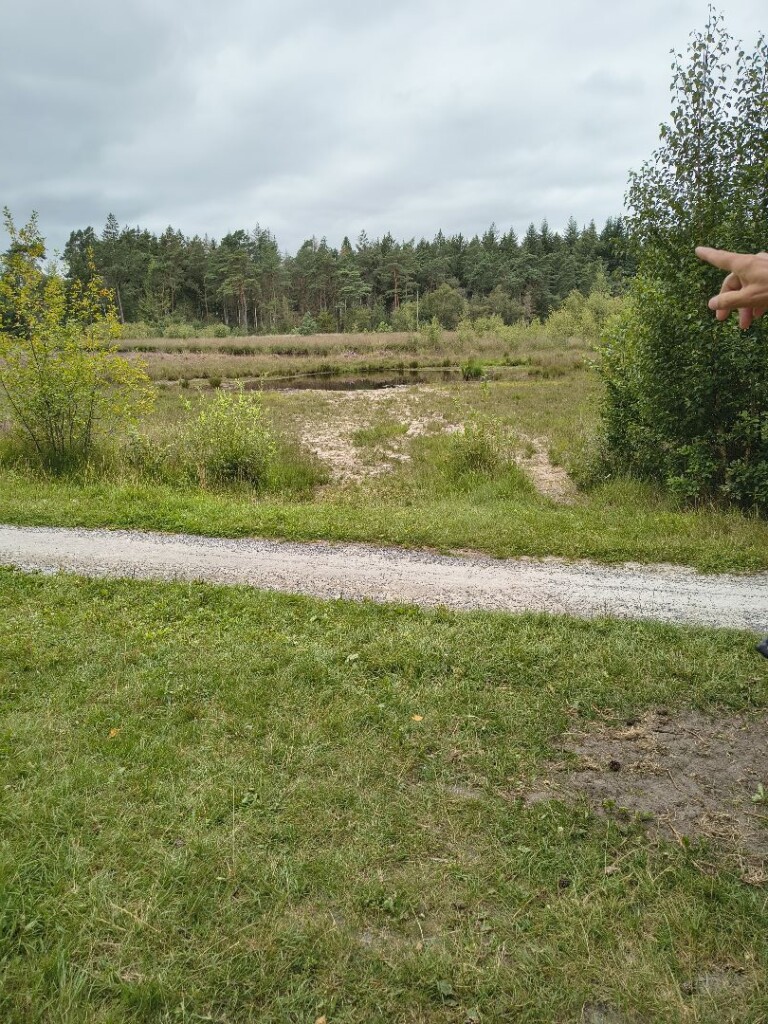 Wandelroute Ruinen oranje