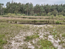 Wandelroute Ruinen oranje