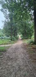 Klein Beekermark-route