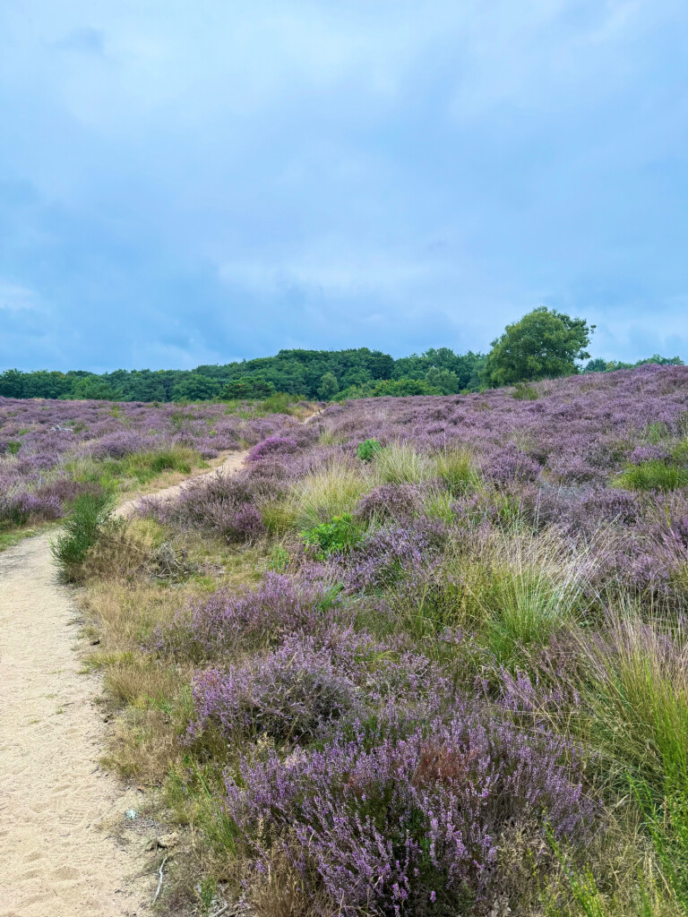 Plasmolen - Malden · Walk of Wisdom etappe 4