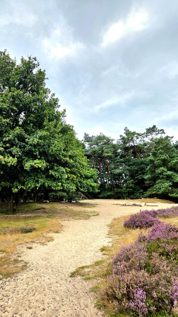 Wandelroute Takkenhoogte