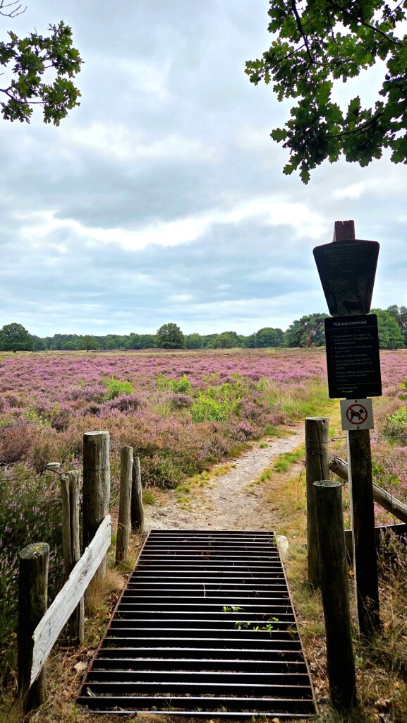 Wandelroute Takkenhoogte