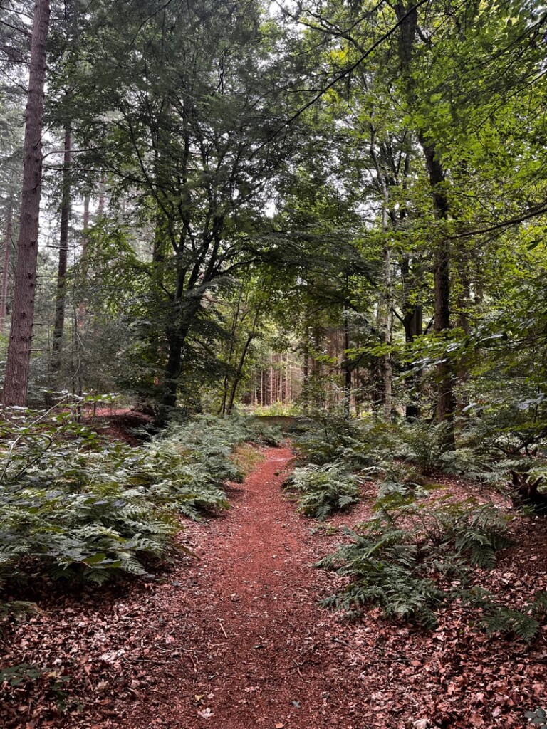 Donkerbroek - Haulerwijk · Stellingenpad etappe 10