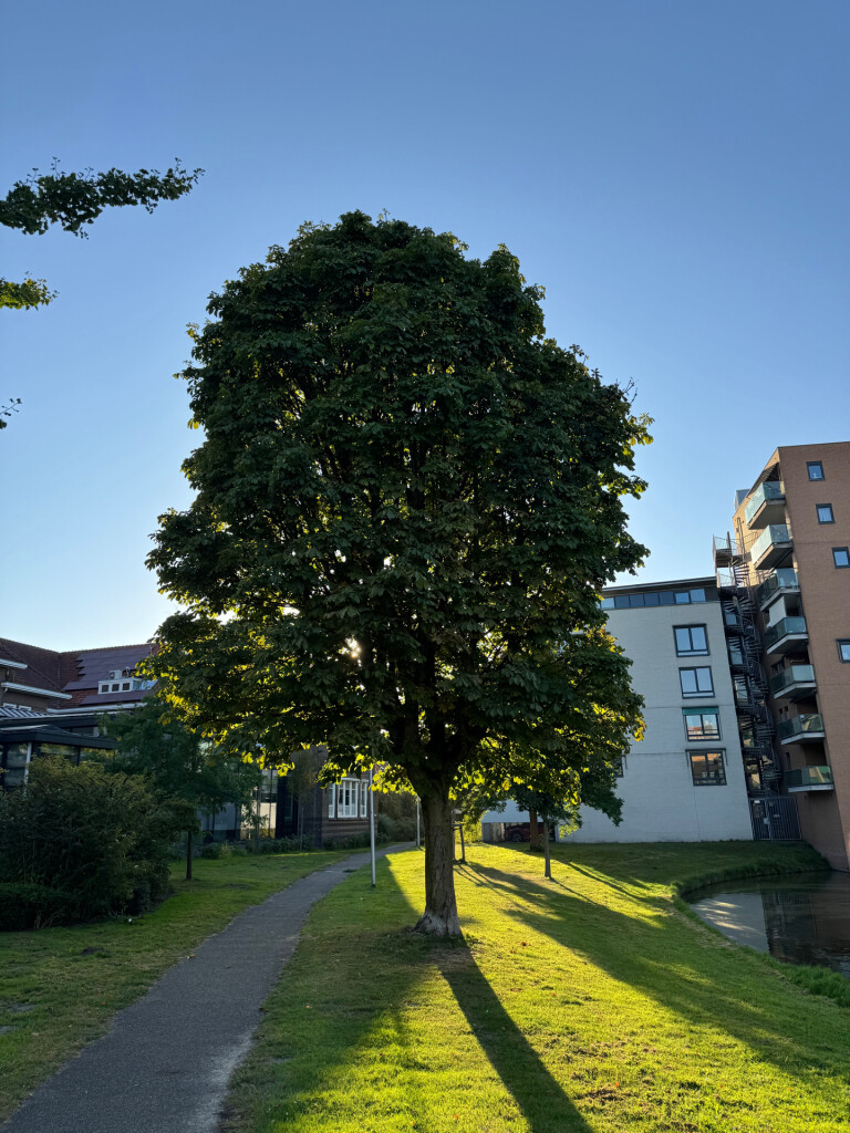 Foto van opname