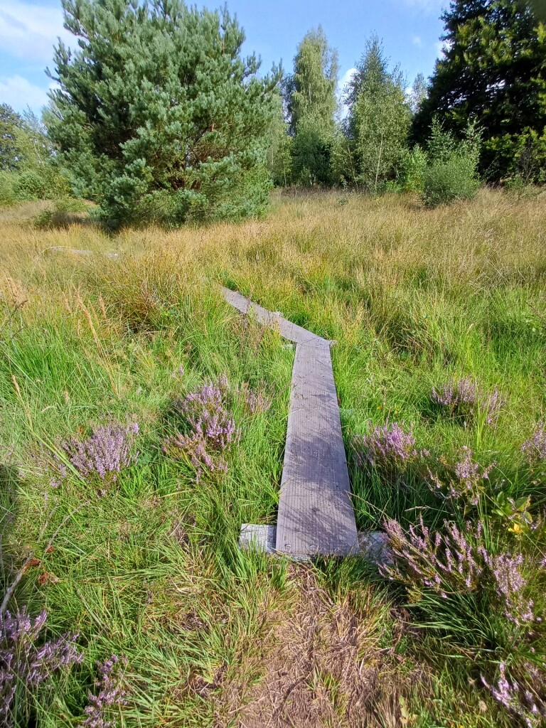 Wandelroute Wolvenspoor