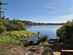 Wandelroute Vennenwandeling Vresselsbos