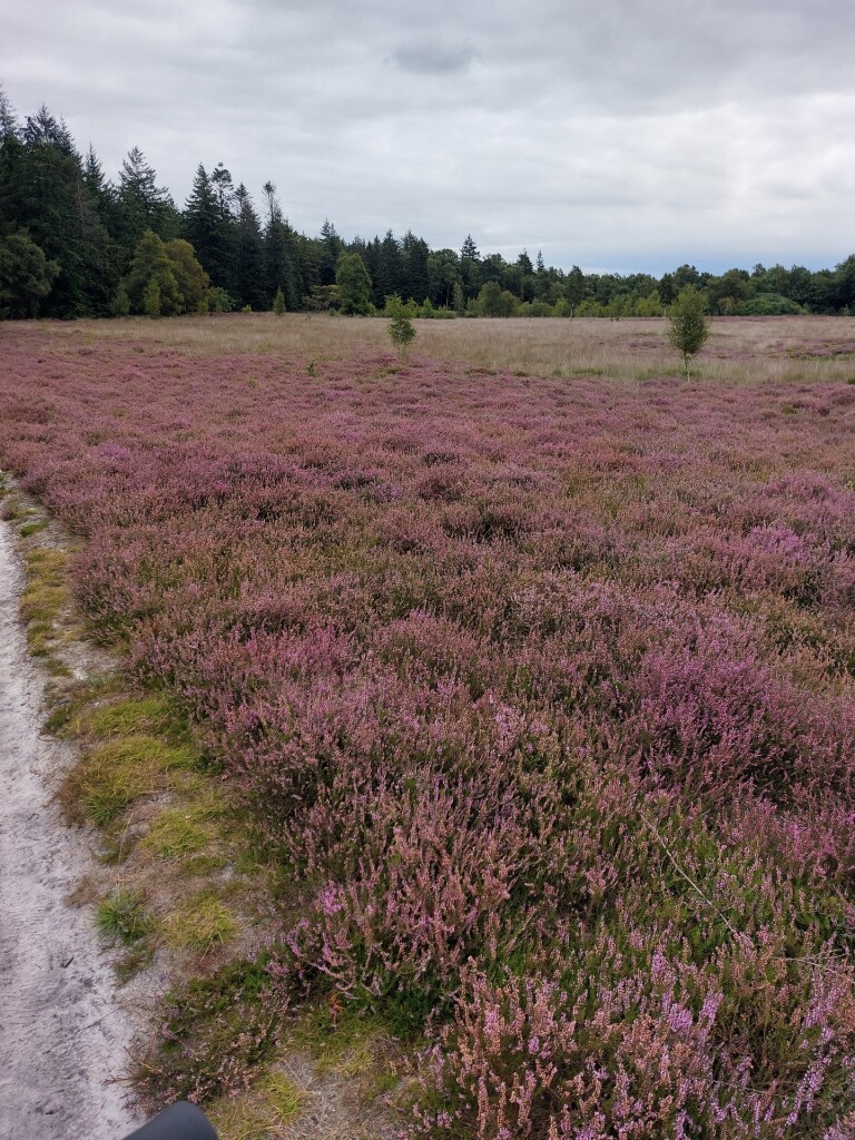 Meulendob wandelroute 40 km F1
