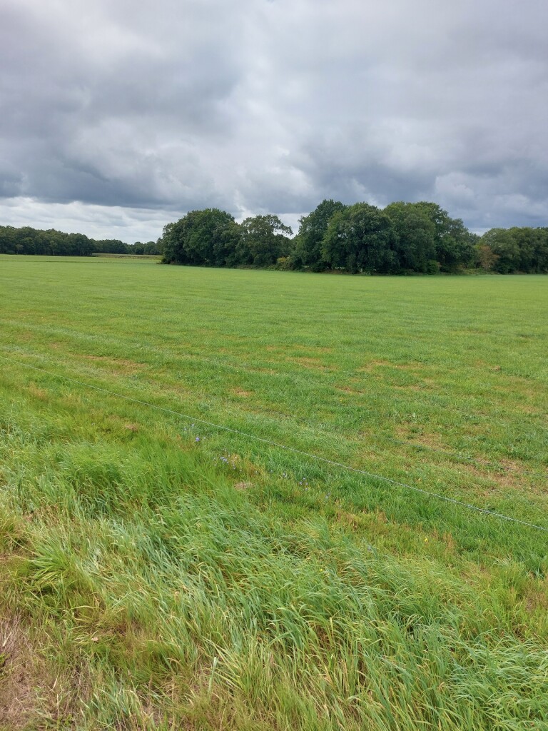 Meulendob wandelroute 40 km F1