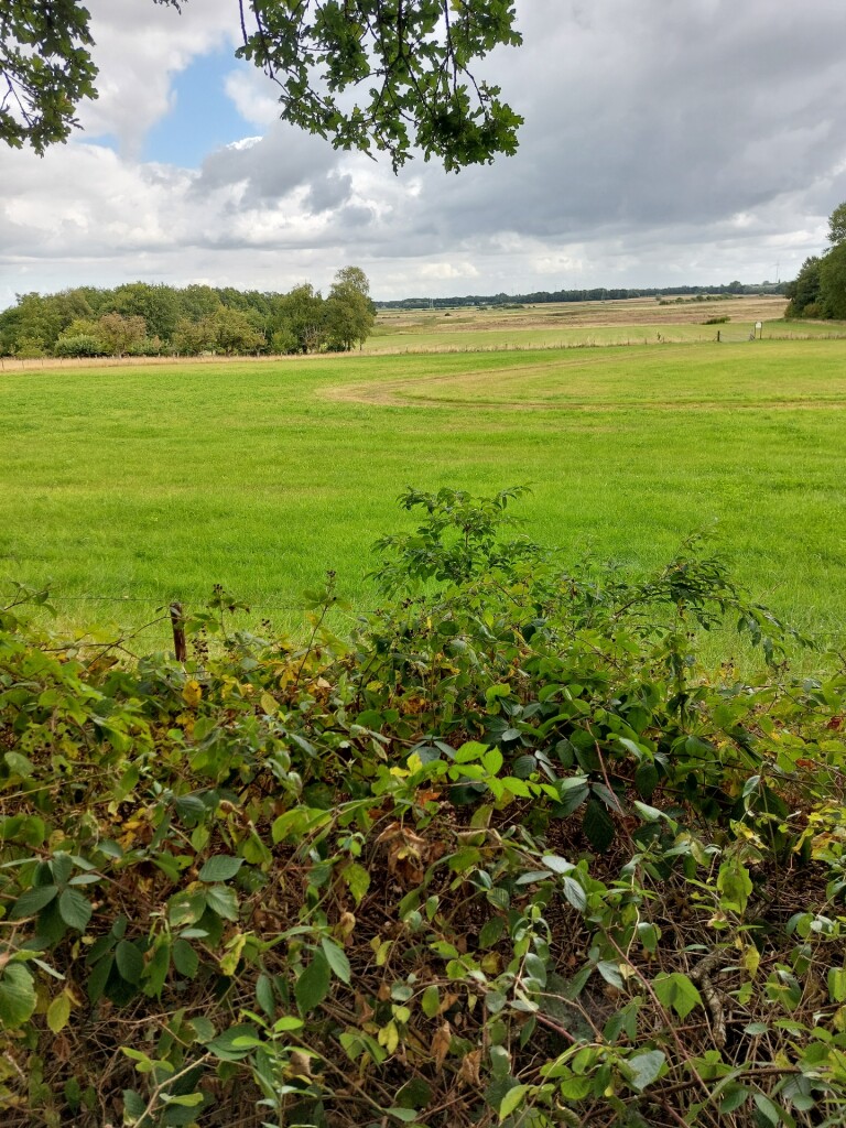 Meulendob wandelroute E 1