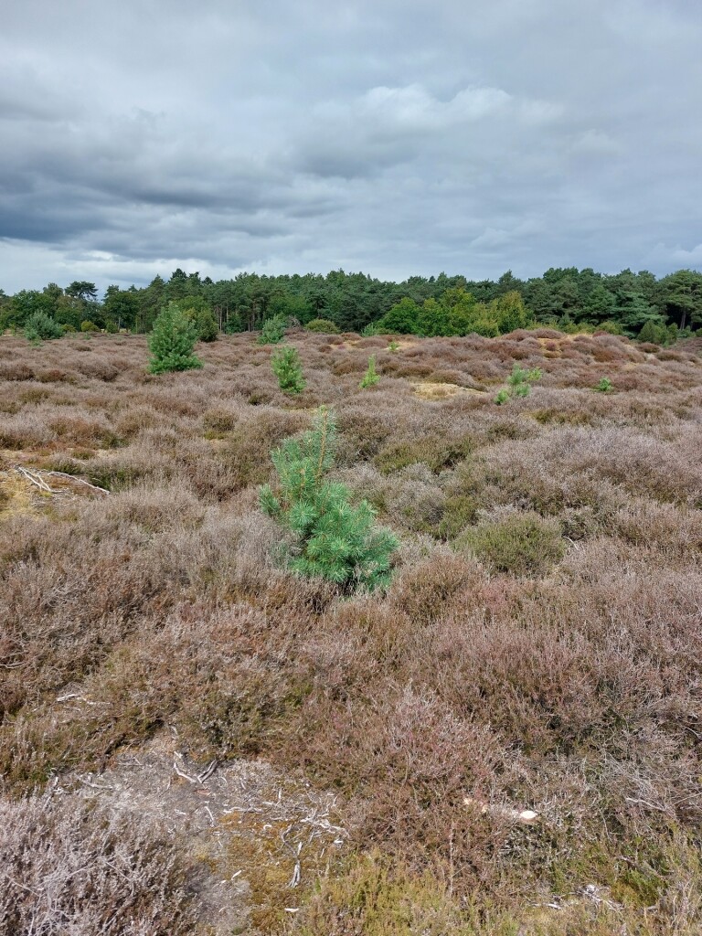 Meulendob wandelroute E 1
