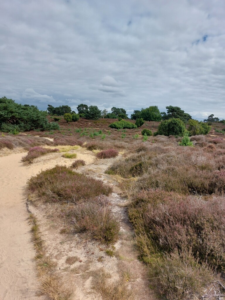 Meulendob wandelroute E 1